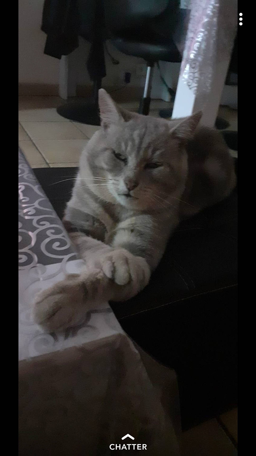 Tigrou
