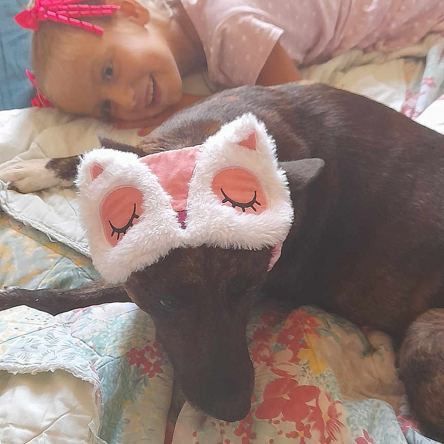 Nala