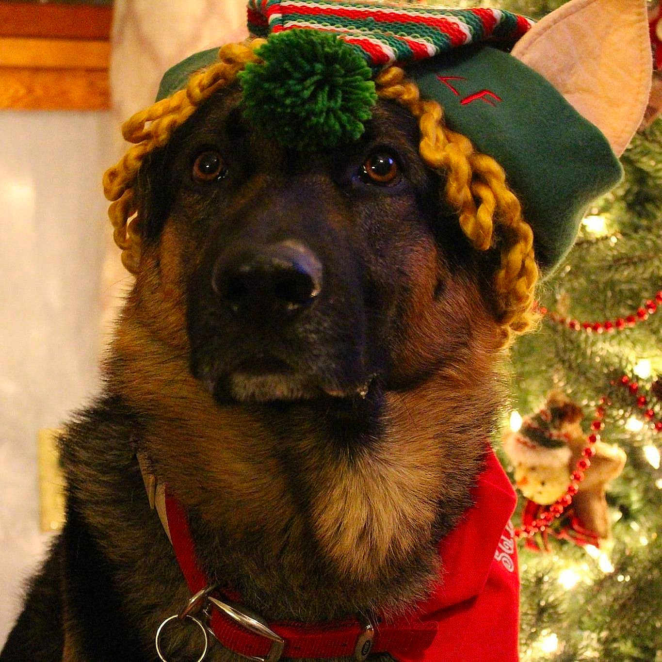 Griffin is registered to the contest to win money with this photo: