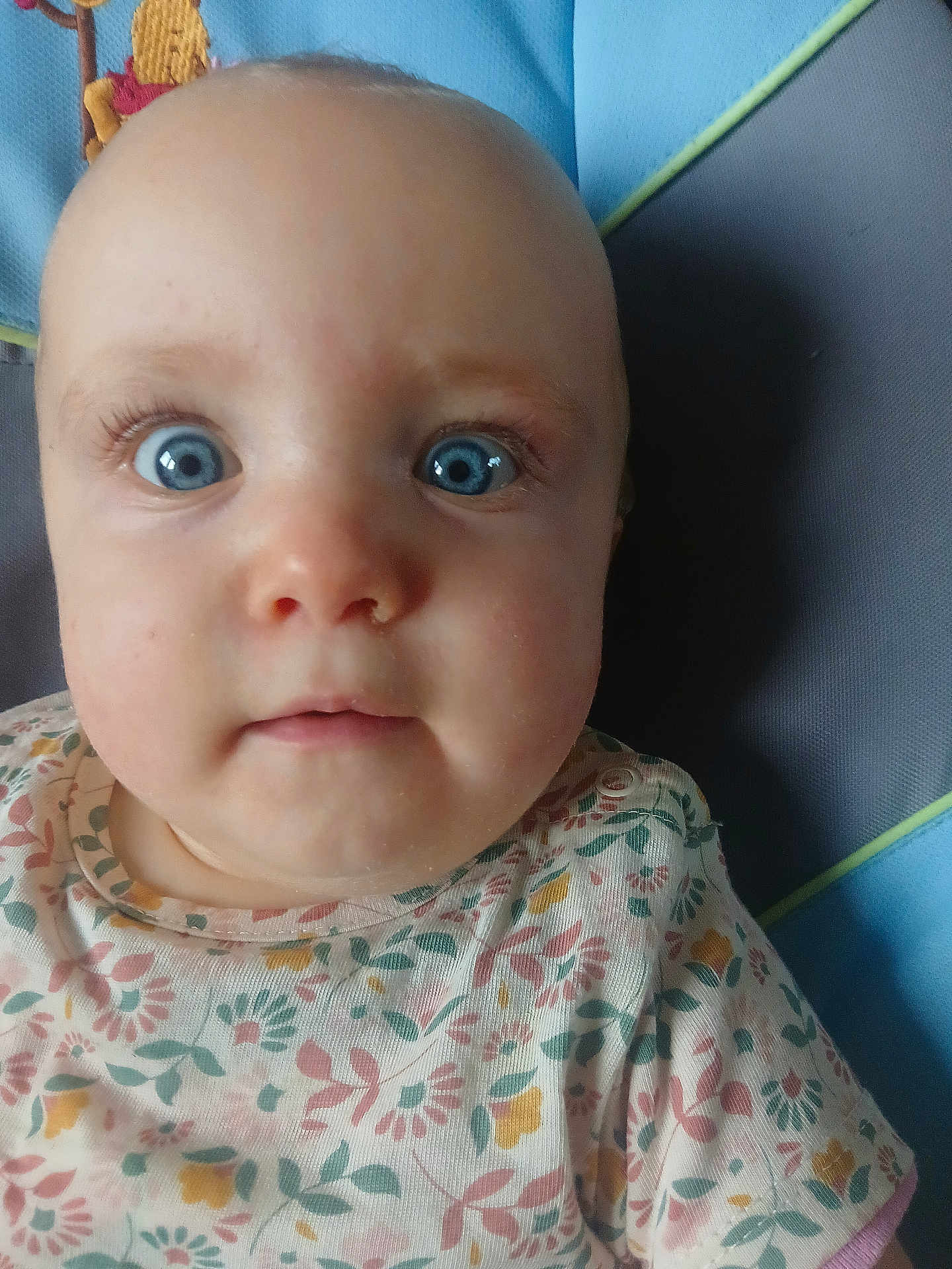 Ashley a rejoint le concours — aidez-le/la à gagner de superbes lots ! baby, blue_eyes, closeup, curious, floral_shirt, infant, face, head, child, sitting, portrait, indoors, seat, clothing, person, skin, eyelashes, cute, young, expression