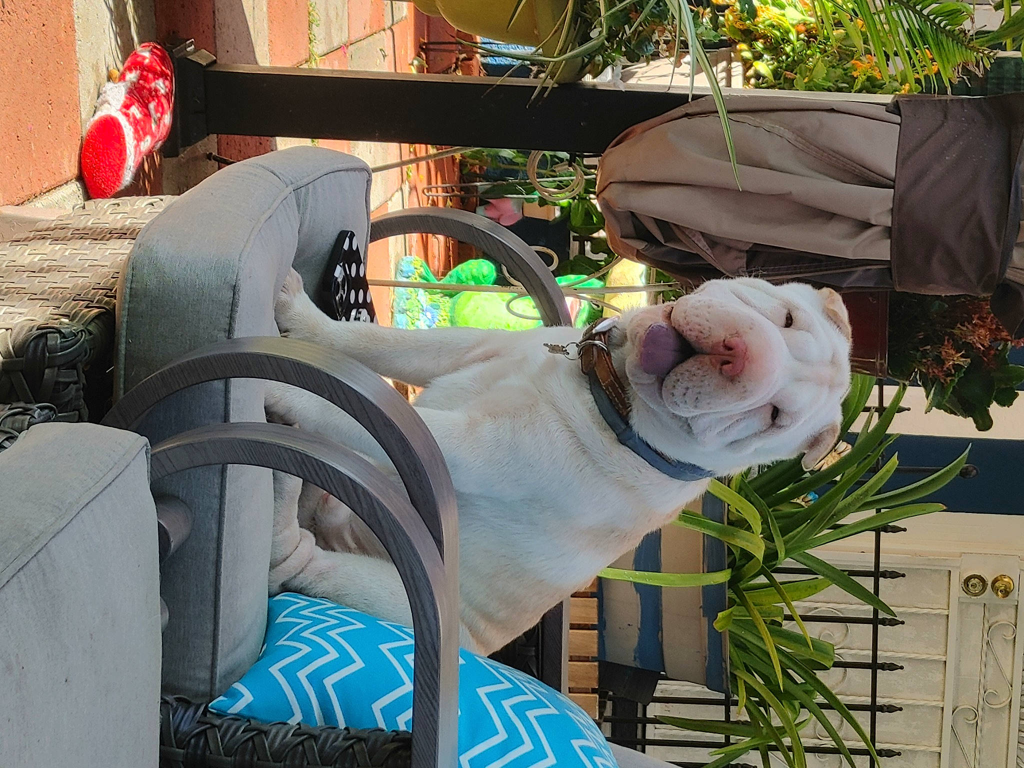 Tobie joined the competition — help win amazing prizes! art, event, grass, lawn_ornament, leisure, metal, personal_protective_equipment, plant, recreation, sculpture, statue, wood