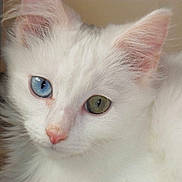 Aquarelle participe au concours pour gagner de l'argent avec cette photo :