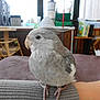 Kaos participe au concours pour gagner de l'argent avec cette photo :