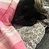 cat, black_cat, sleeping, blanket, pink, striped, fabric, cozy, resting, pet, animal, indoor, closeup, fur, whiskers, relaxation, comfort, cute, nap, domestic_cat
