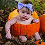 baby, pumpkin, purple_bow, fall_leaves, autumn, tree_trunk, outdoor, cute, child, headband, orange, seasonal, nature, sitting, leaf_litter, holiday, portrait, baby_skin, curious, fall