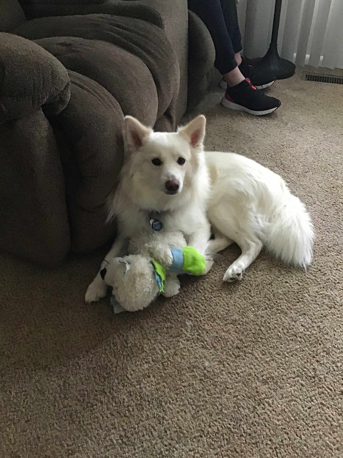 Stewie