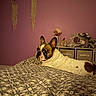 dog, french_bulldog, bed, bedspread, patterned, purple_wall, macrame, decor, photoframes, flower_vase, indoor, pet, animal, cozy, looking_back, ears_up, furniture, resting, home, room