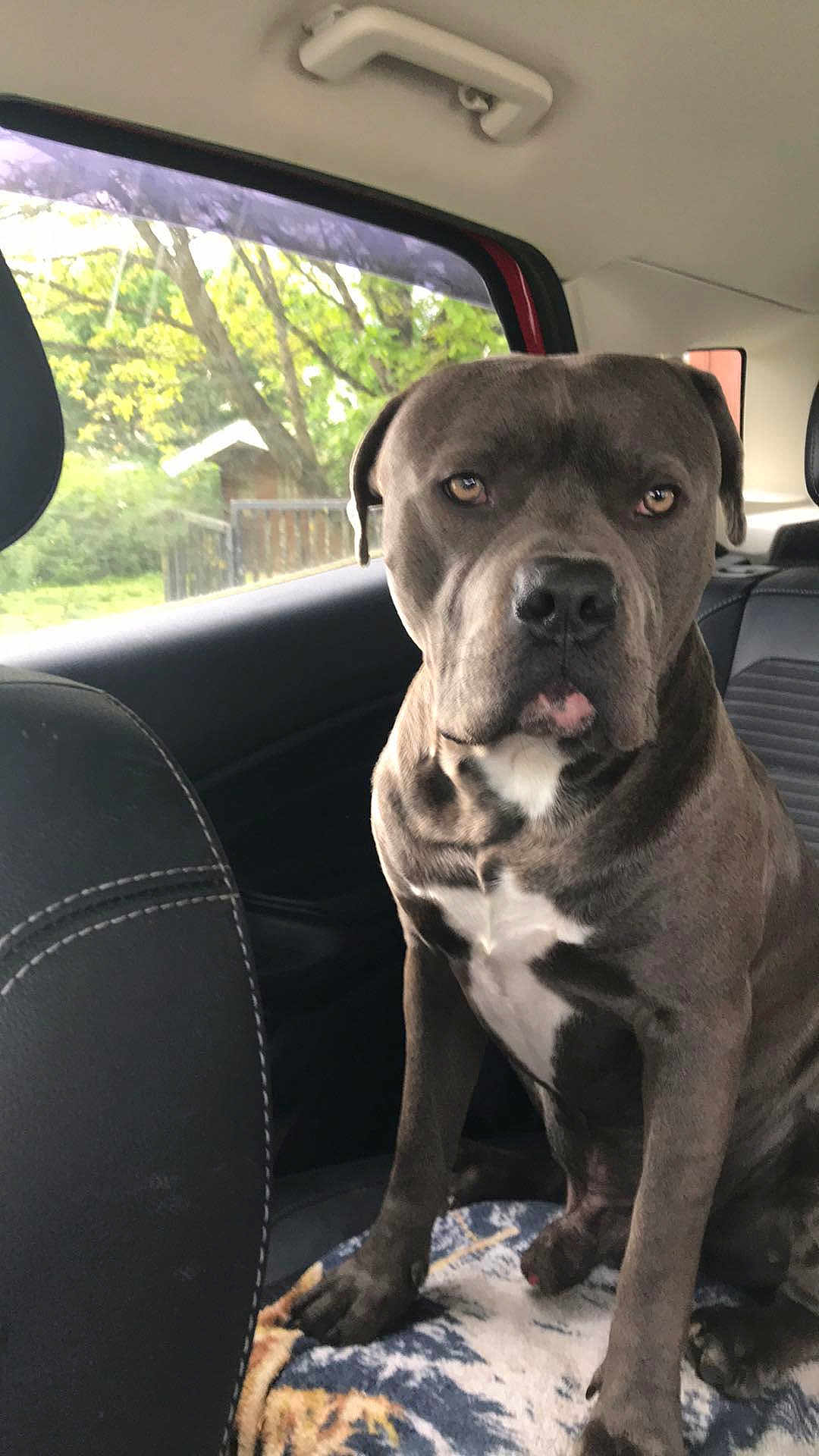 Thor