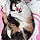Kibby