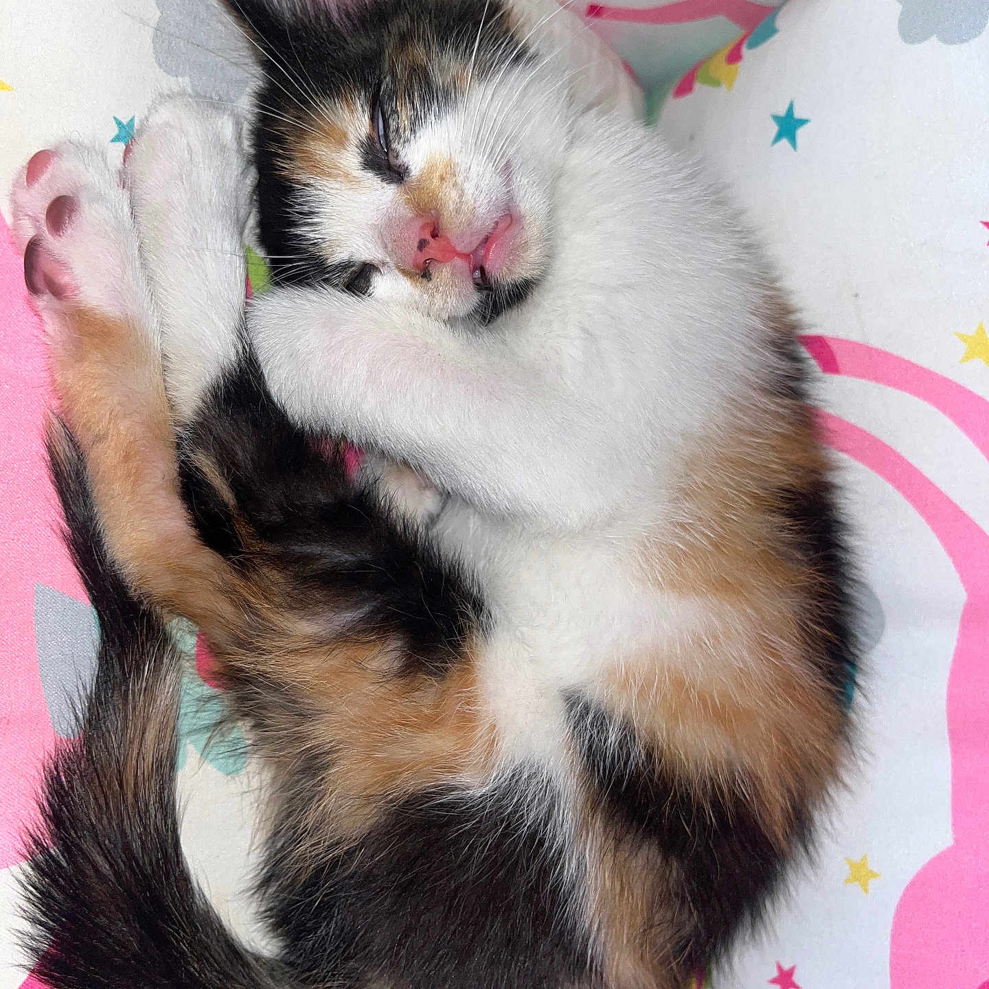 Kibby