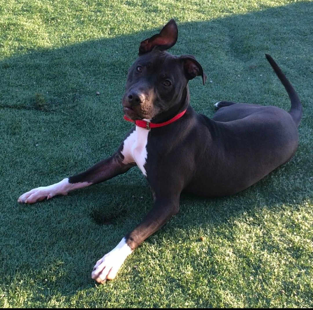 Tucker
