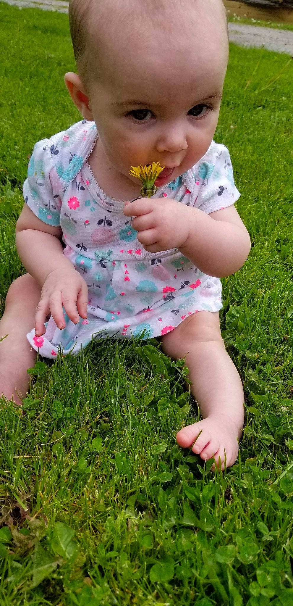 Hazel Grace is registered to the contest to win money with this photo: baby, baby_toddler_clothing, child, grass, grass_family, lawn, leaf, meadow, person, plant, play, toddler