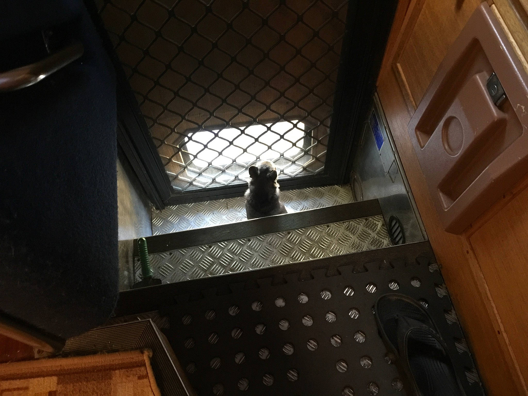 Mack joined the competition — help win amazing prizes! audio_equipment, automotive_design, automotive_exterior, ceiling, darkness, daylighting, floor, flooring, gas, glass, grille, hardwood, kitchen, mesh, metal, pattern, space, tints_and_shades, window, wood