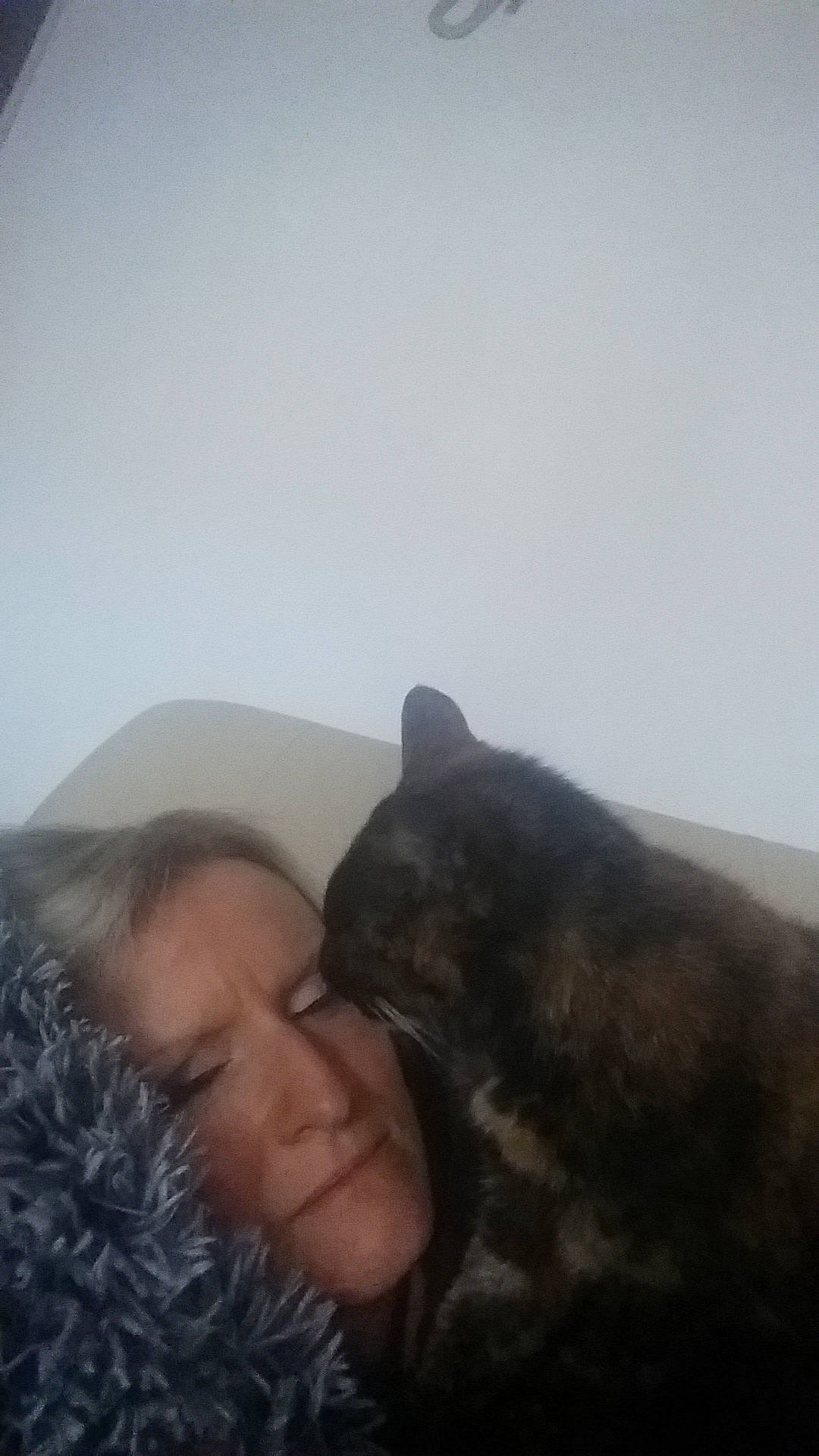 Taly a rejoint le concours — aidez-le/la à gagner de superbes lots ! black_hair, cat, child, cloud, ear, facial_hair, forehead, head, human, mountain, nap, nose, selfie, sky, sleep