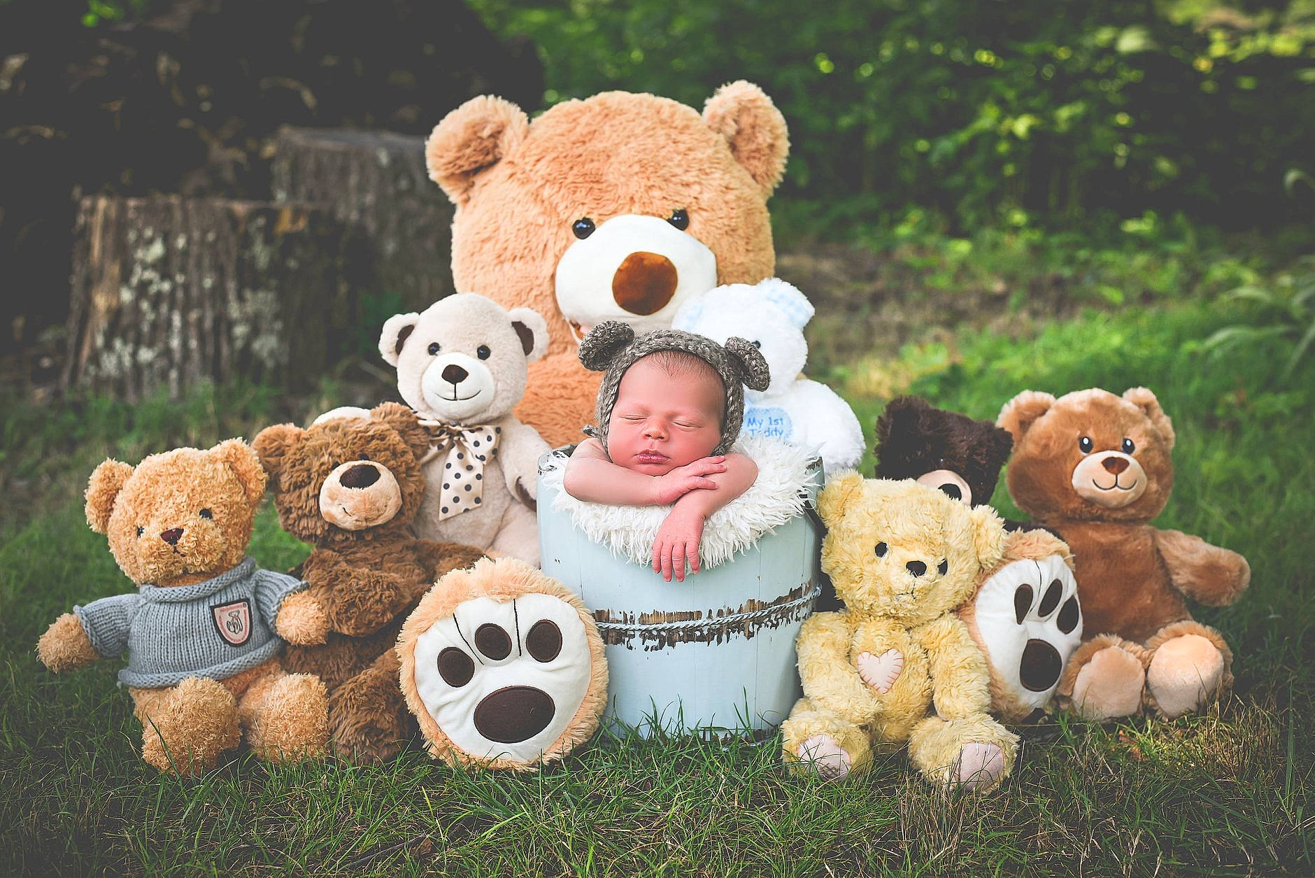 Billie is registered to the contest to win money with this photo: bear, child, person, plush, stuffed_toy, teddy_bear, textile, toy