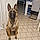 Kayson