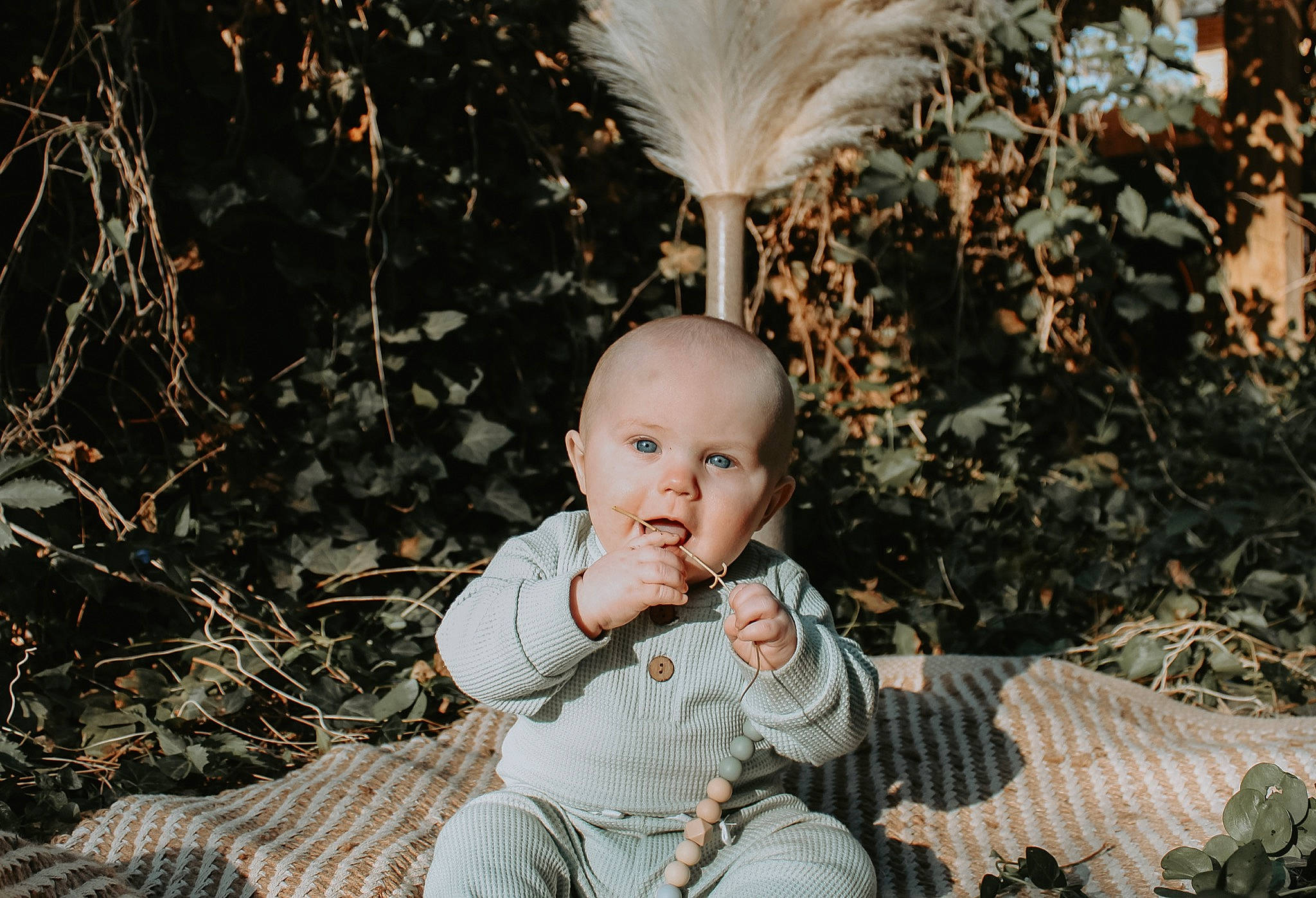 Rylo is registered to the contest to win money with this photo: baby, baby_toddler_clothing, child, eye, fashion_accessory, flash_photography, fun, grass, happy, leaf, people_in_nature, person, plant, portrait_photography, sitting, sunlight, toddler, tree, twig, winter