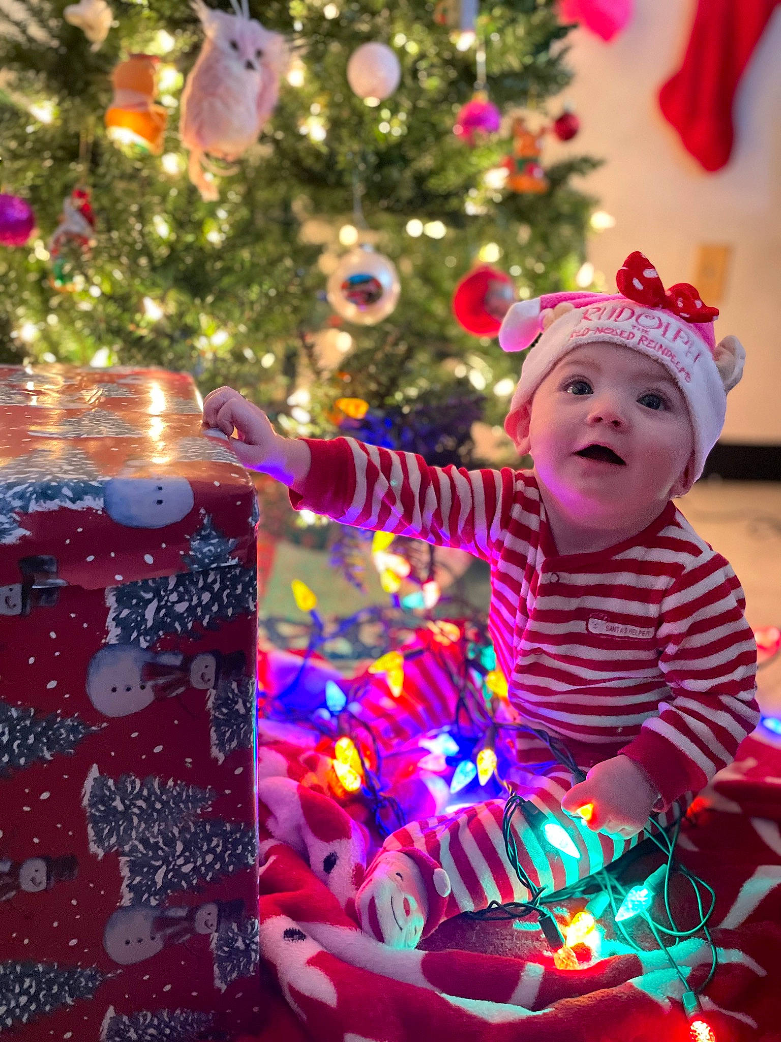 Dixie Bell is registered to the contest to win money with this photo: baby_toddler_clothing, christmas, christmas_decoration, christmas_eve, christmas_ornament, christmas_tree, event, evergreen, happy, headwear, holiday, holiday_ornament, light, magenta, ornament, person, pink, purple, smile, toddler