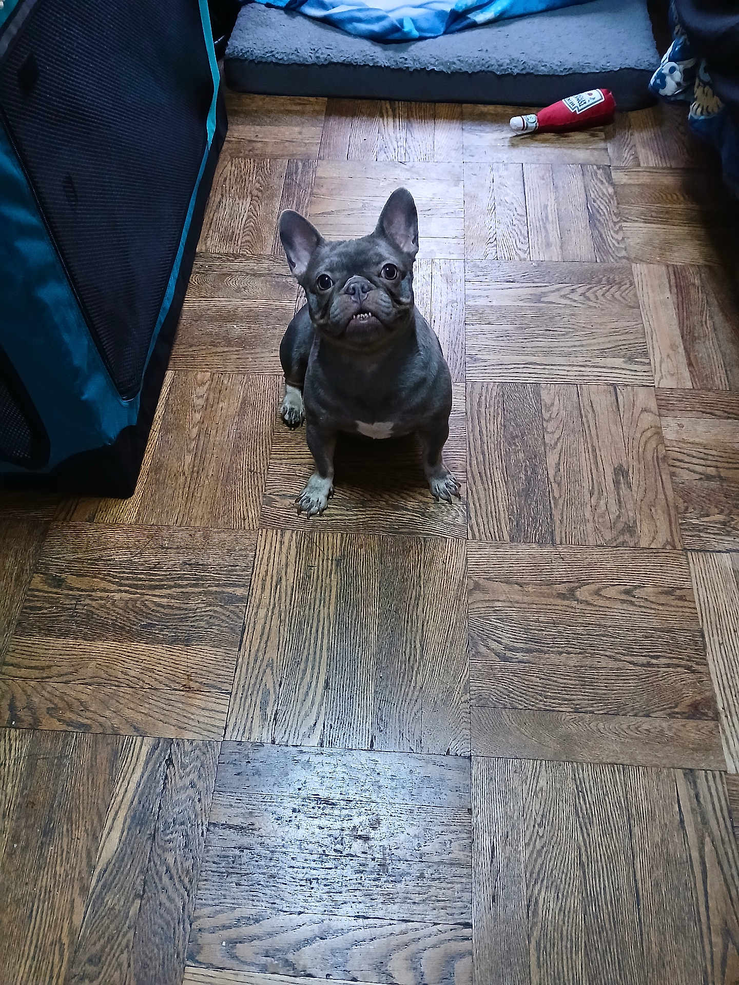 Princess