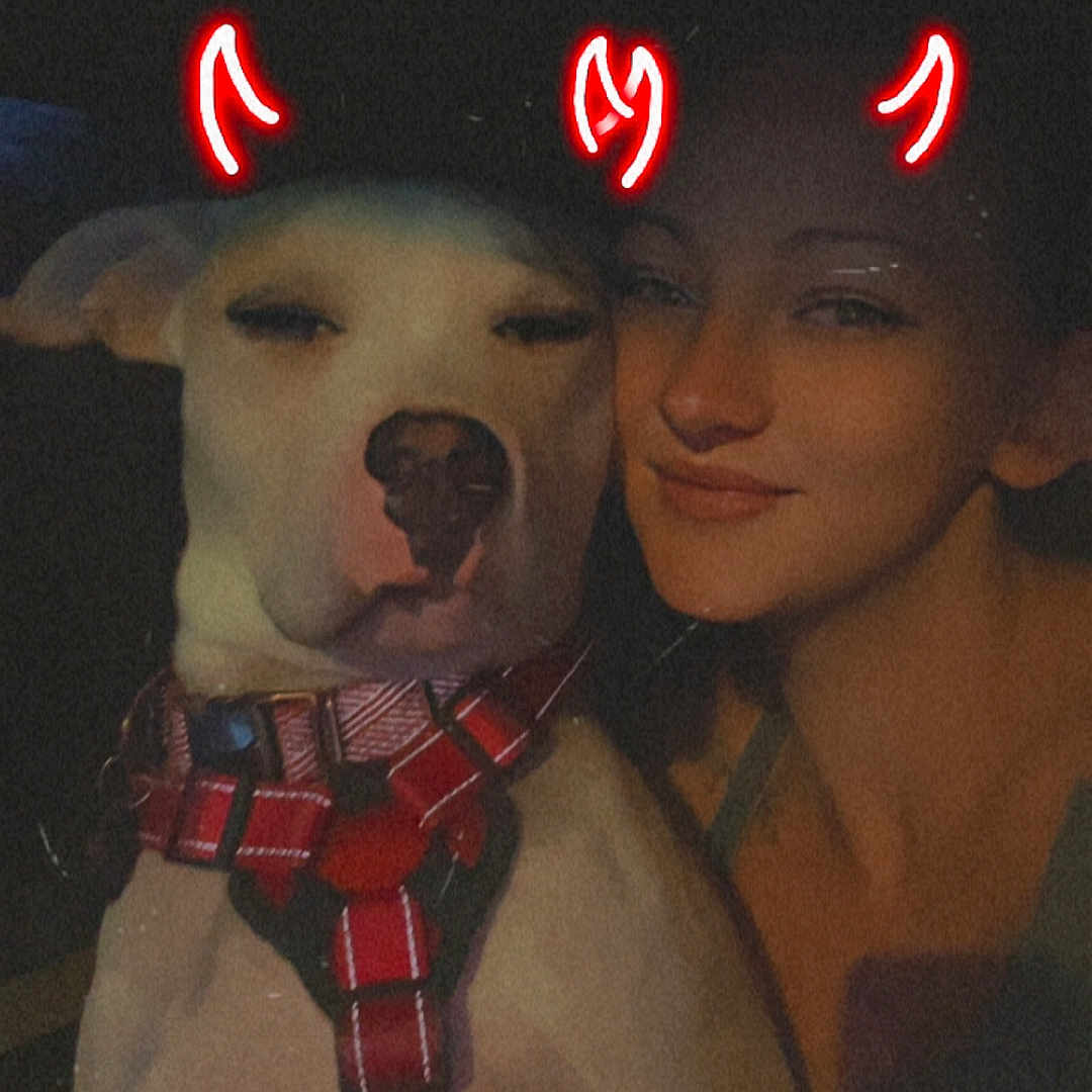 Daisy Tikster joined the competition — help win amazing prizes! animal, animal_harness, canine, close_up, companion, cute, dark_background, devil_horns_filter, dog, face, filter, friendship, human, indoors, person, pet, playful, red_harness, selfie, smiling