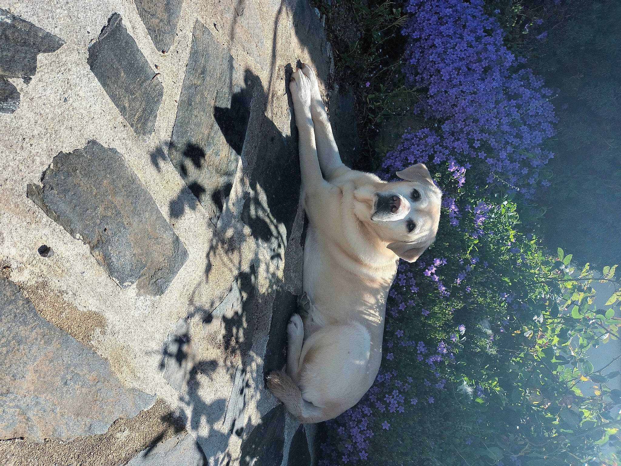 Oria participe au concours pour gagner de l'argent avec cette photo : art, azure, electric_blue, facade, fawn, grass, lawn_ornament, monument, plant, reflection, sculpture, shadow, shrub, statue, tail, toy, tree, visual_arts, winter, wood