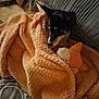 dog, blanket, plush_toy, bed, cozy, indoor, pet, fur, snuggled, resting, cute, orange, soft, sleepy, animal, comfort, fabric, ears, toy, relax
