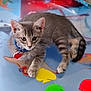 kitten, cat, gray_cat, tabby, collar, pet, animal, indoor, lying_down, cute, young_cat, playful, floor_mat, colorful, fish_pattern, red_tag, blue_collar, whiskers, ears, paws