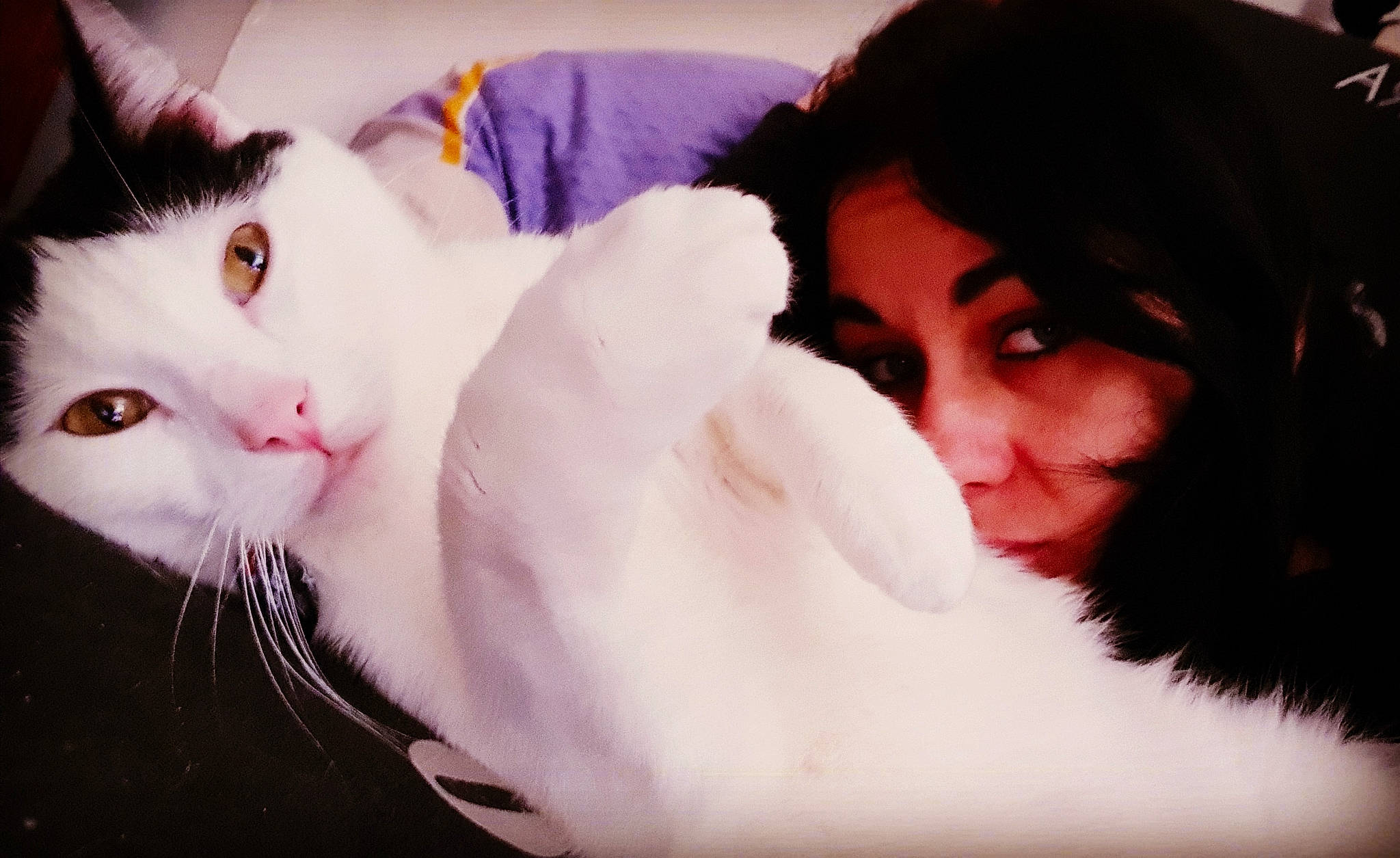 June participe au concours pour gagner de l'argent avec cette photo : black, black_hair, cat, cat_like_mammal, ear, eye, fur, girl, human_hair_color, kitten, mammal, nose, organ, person, pink, skin, small_to_medium_sized_cats, textile, vertebrate, whiskers