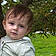 Waylan