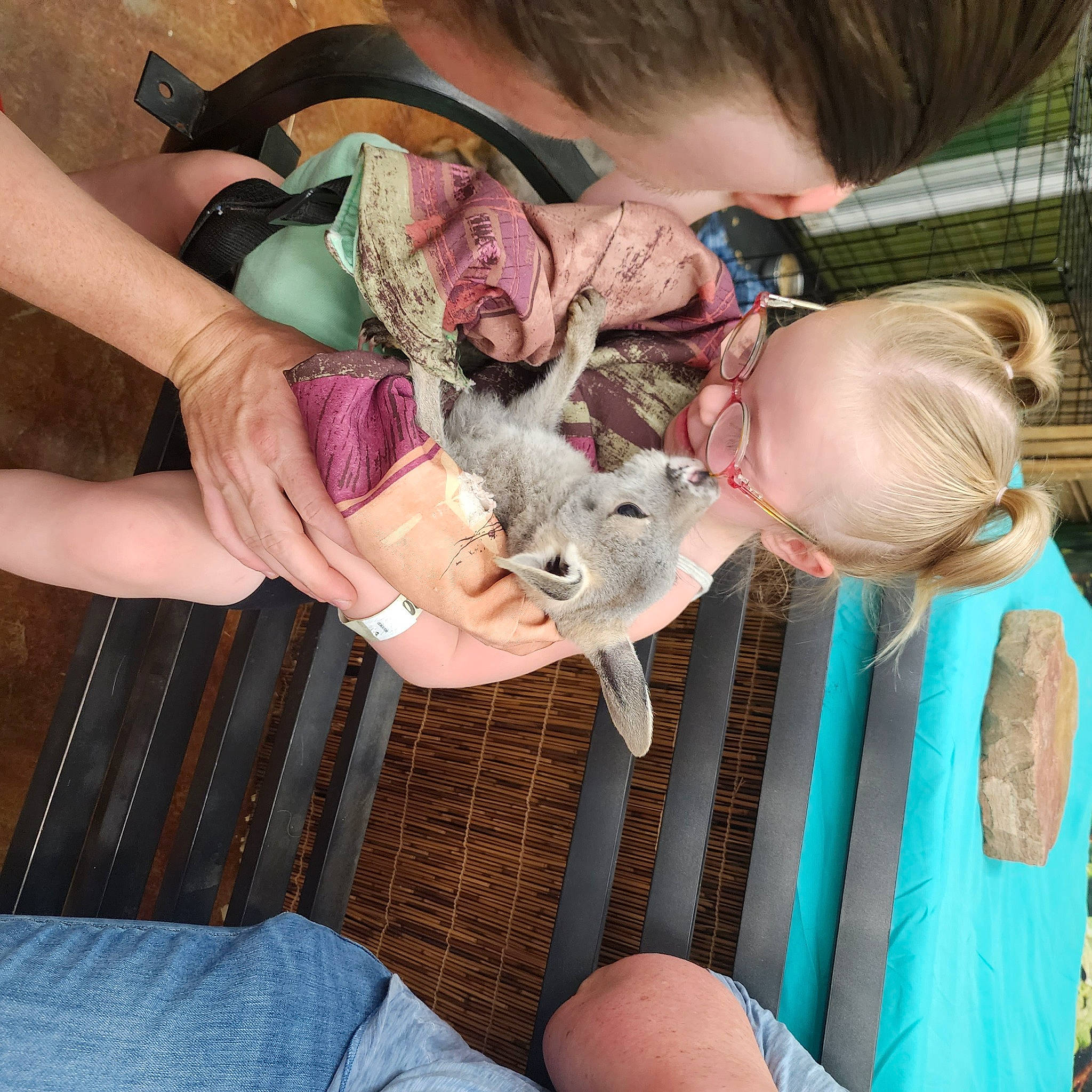 Mckenzie is registered to the contest to win money with this photo: baby, baby_toddler_clothing, child, doll, ear, fawn, finger, gesture, hair, happy, iris, joint, lap, nail, person, pink, skin, stuffed_toy, thumb, toddler