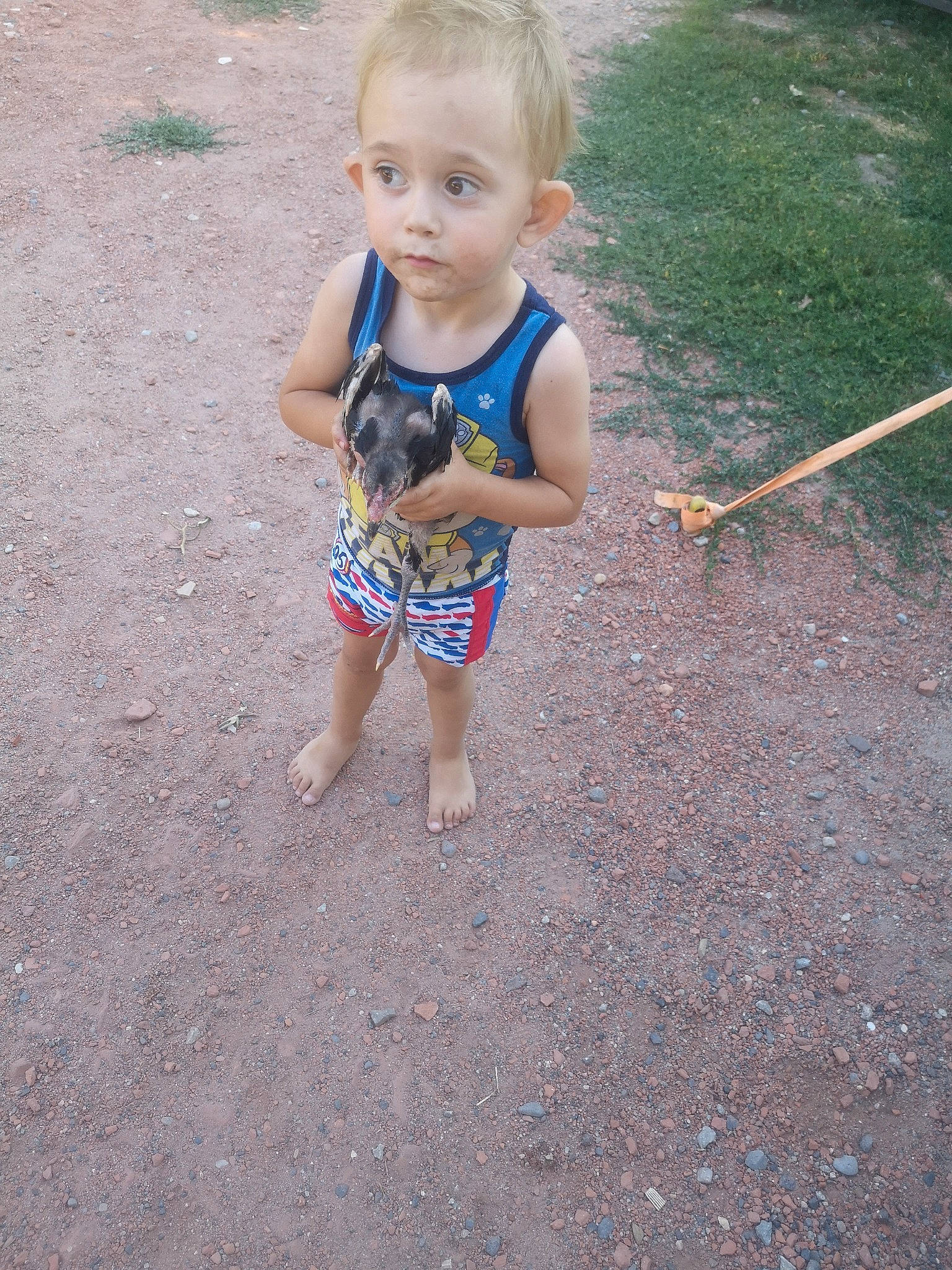 Rayley participe au concours pour gagner de l'argent avec cette photo : asphalt, baby, baby_toddler_clothing, barefoot, child, electric_blue, flooring, foot, fun, grass, hair, head, human_leg, people_in_nature, person, recreation, road_surface, sitting, soil, t_shirt