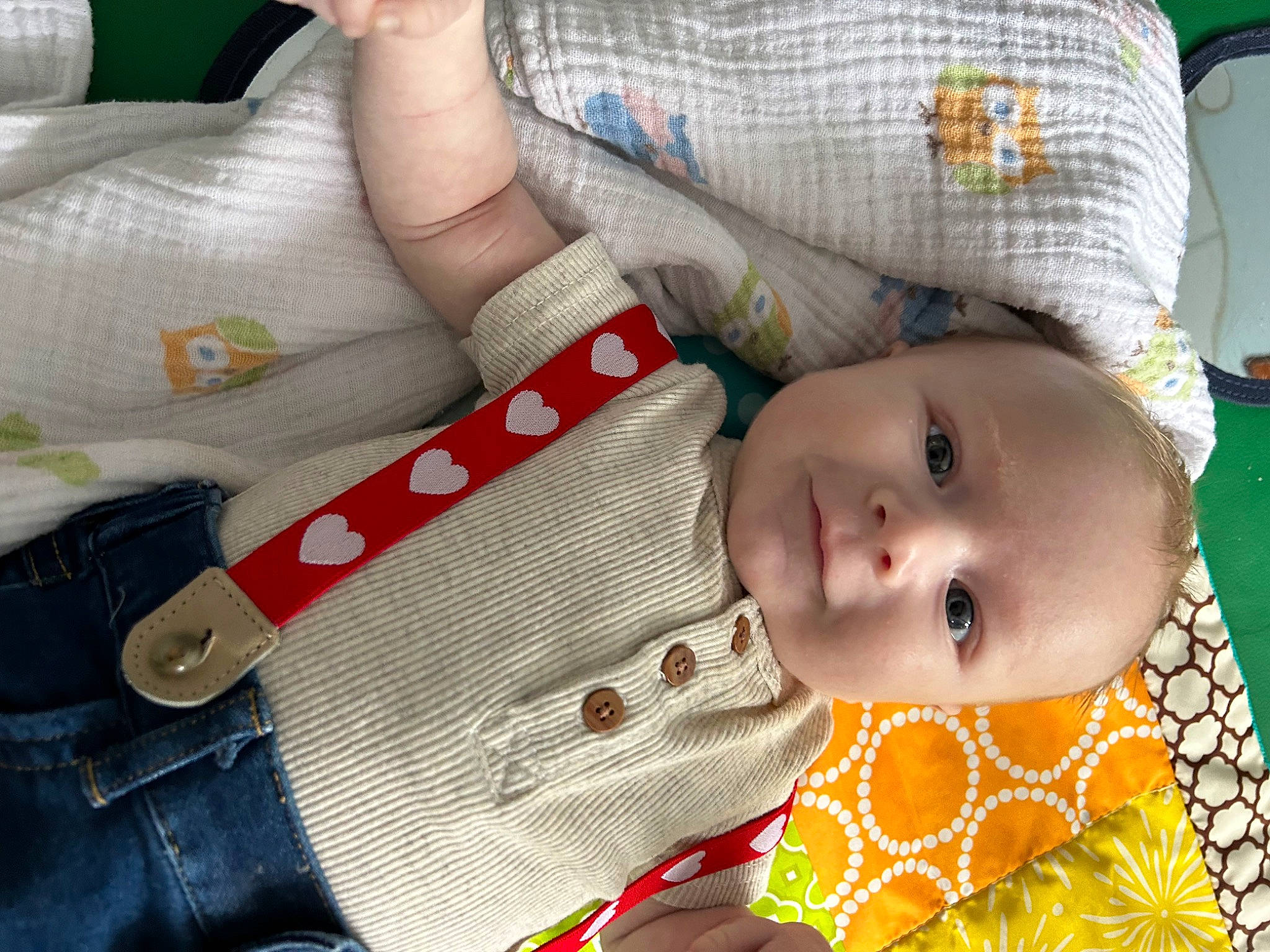 Lucien is registered to the contest to win money with this photo: baby, baby_carriage, baby_products, baby_safety, baby_sleeping, baby_toddler_clothing, cheek, child, comfort, eye, head, linens, nail, pattern, person, plaid, skin, sleeve, textile, toddler