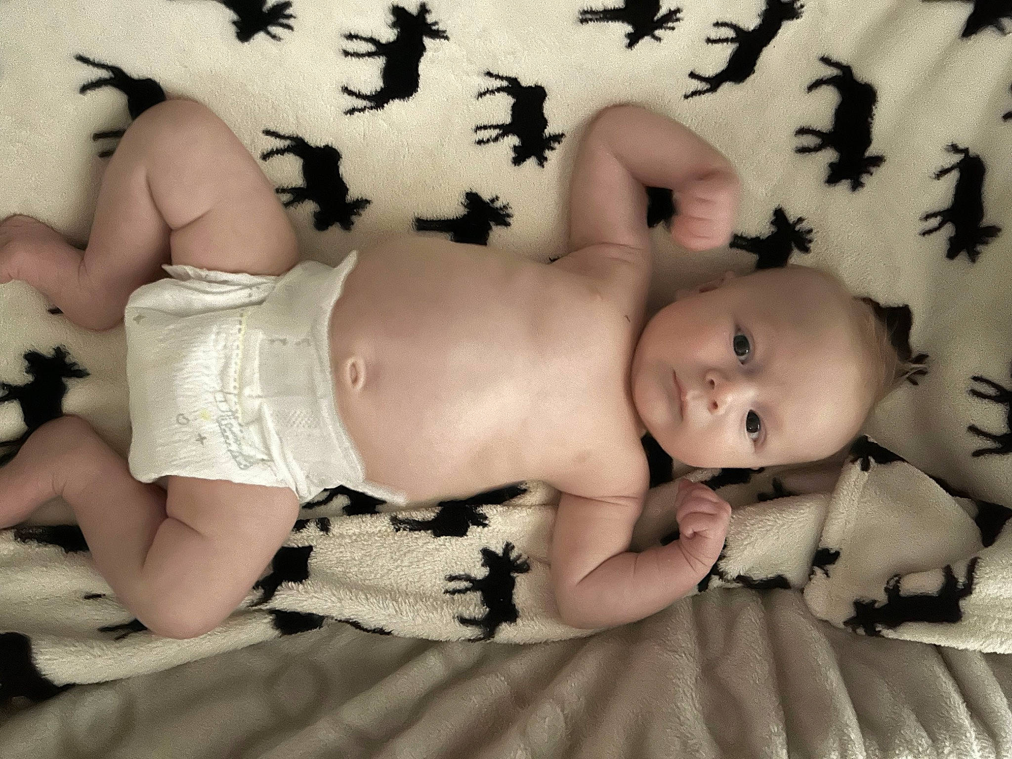Lucien joined the competition — help win amazing prizes! abdomen, arm, art, baby, baby_toddler_clothing, beauty, black, chest, comfort, finger, flash_photography, happy, human_leg, pattern, person, skin, textile, thigh, toddler, trunk