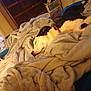 dog, sleeping, blanket, bedroom, indoor, cozy, furniture, resting, pile, soft, comfort, nap, pet, domestic_animal, fur, collar, relaxing, home, animal, mammal