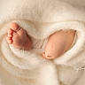 Phoenix is registered to the contest to win money with this photo: baby, feet, newborn, blanket, soft, cozy, wrapped, infant, skin, toes, warmth, closeup, cuddle, texture, cream, tender, sleep, comfort, small, delicate