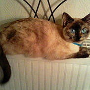 Kimblue a rejoint le concours — aidez-le/la à gagner de superbes lots !