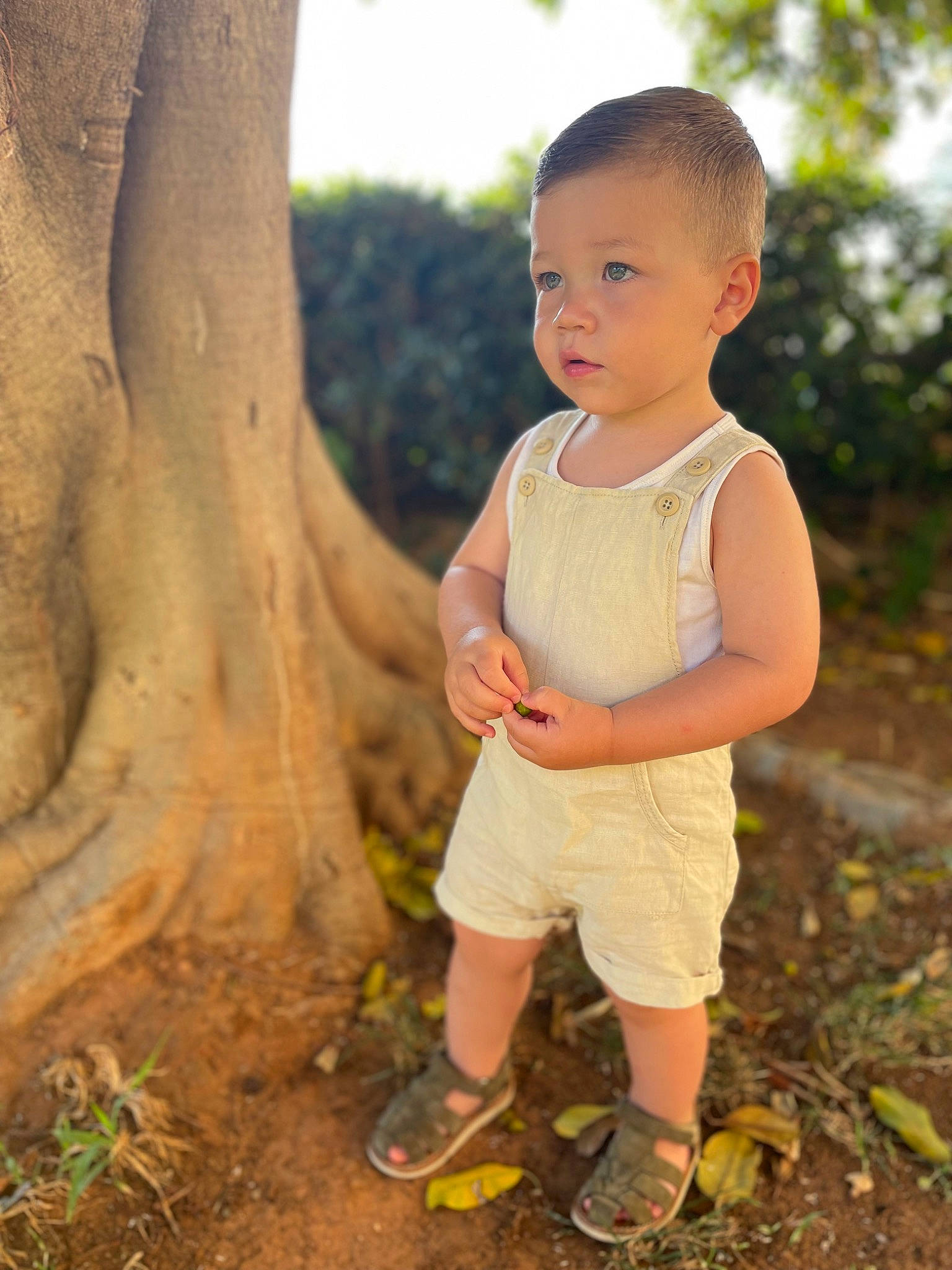 Marceau a rejoint le concours — aidez-le/la à gagner de superbes lots ! adaptation, botany, finger, grass, hairstyle, happy, leaf, nature, people_in_nature, person, photograph, plant, shorts, skin, sky, smile, standing, sunlight, toddler, tree