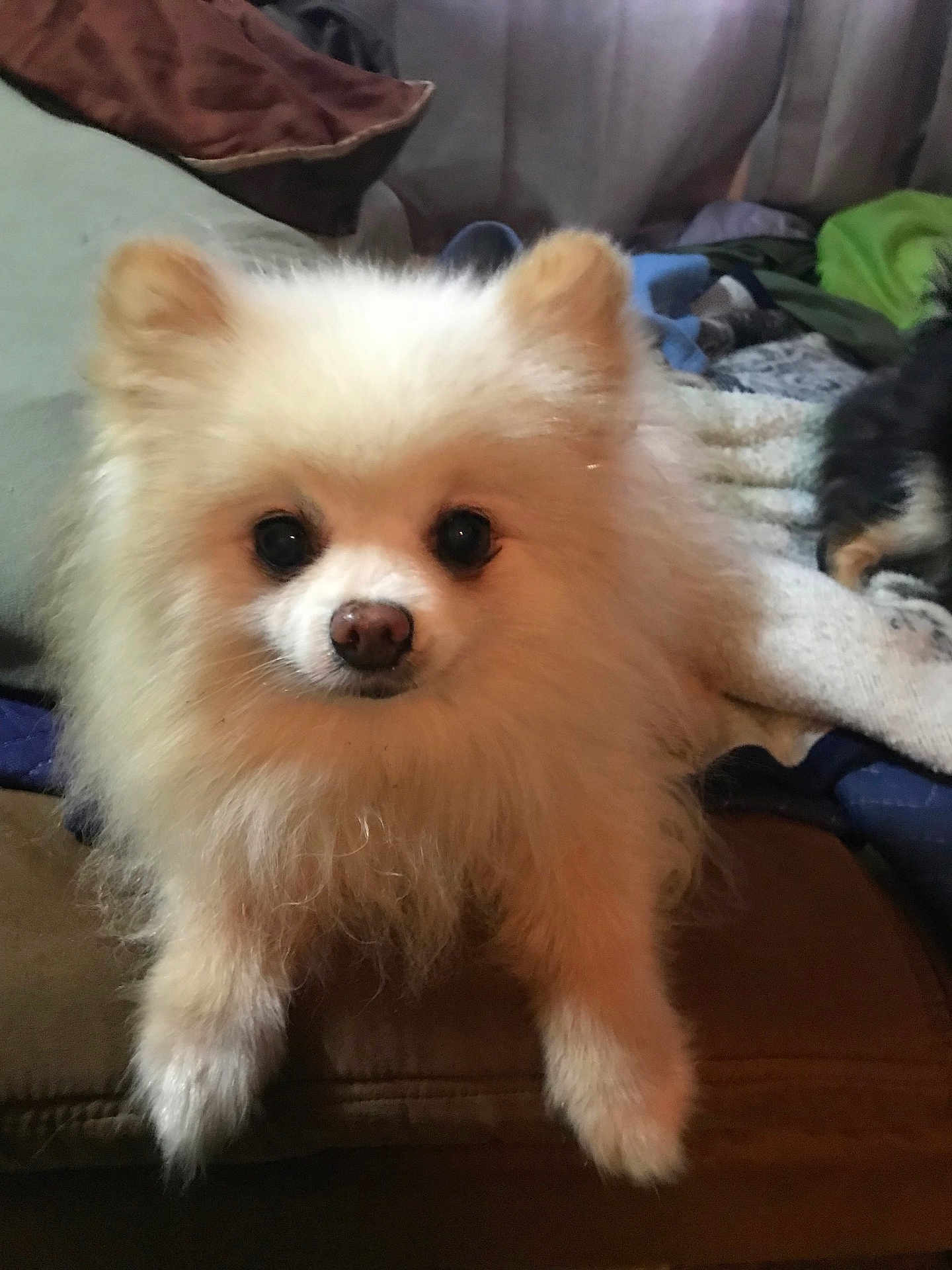Jack