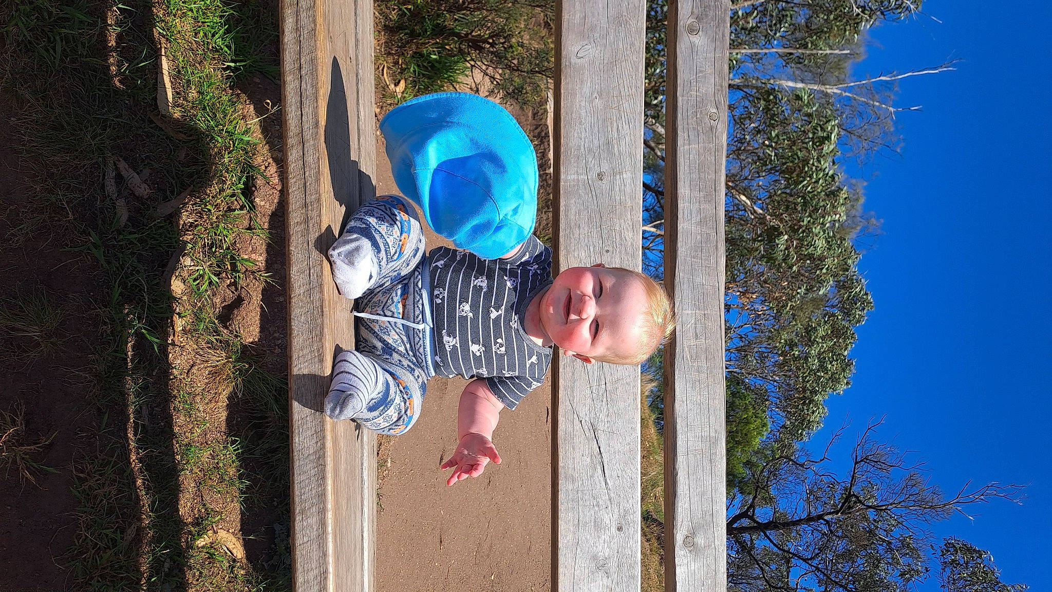 Jake joined the competition — help win amazing prizes! azure, baby_toddler_clothing, blue, branch, electric_blue, fun, grass, happy, hat, joy, leaf, leisure, nature, people_in_nature, person, plant, sky, toddler, tree, trunk