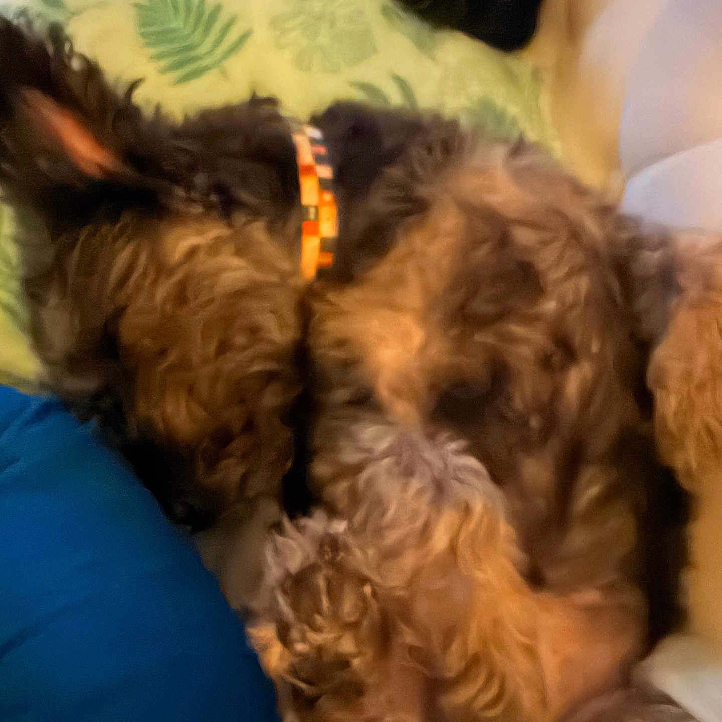 Charlie