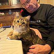Plum a rejoint le concours — aidez-le/la à gagner de superbes lots ! man, cat, indoor, table, furniture, glasses, hand, pet, tabby_cat, warm_lighting, sitting, black_sweater, wood_cabinet, curious, affectionate, portrait, domestic, cozy, home, tablecloth