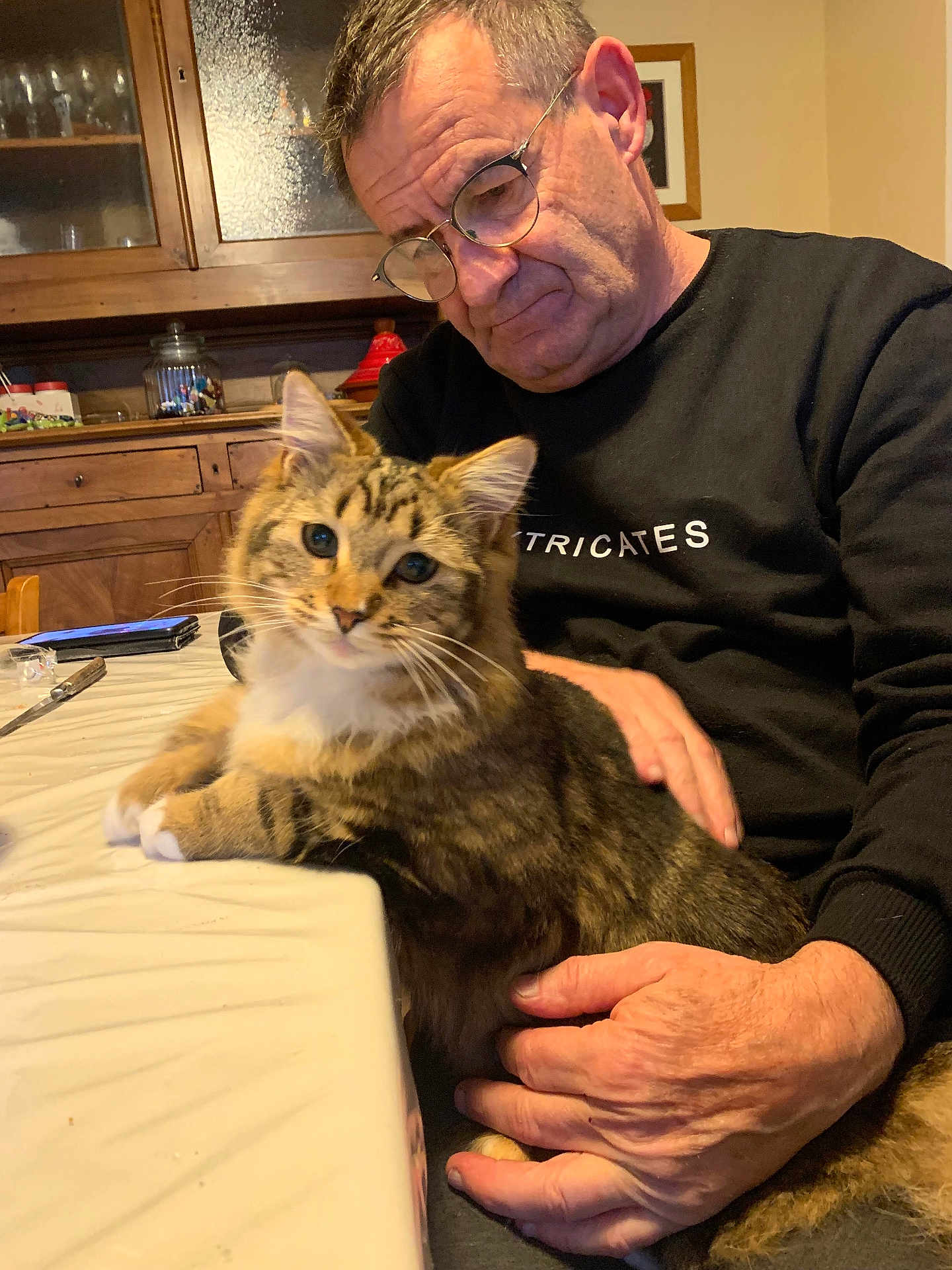 Plum a rejoint le concours — aidez-le/la à gagner de superbes lots ! man, cat, indoor, table, furniture, glasses, hand, pet, tabby_cat, warm_lighting, sitting, black_sweater, wood_cabinet, curious, affectionate, portrait, domestic, cozy, home, tablecloth