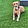 Tucker