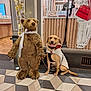 dog, stuffed_bear, leash, vest, bow, floor_tiles, store_interior, wood_paneling, glass_window, reflection, person, decorative_lights, ribbon, smiling_dog, pet_accessory, indoor, animal, toy, happy, sitting