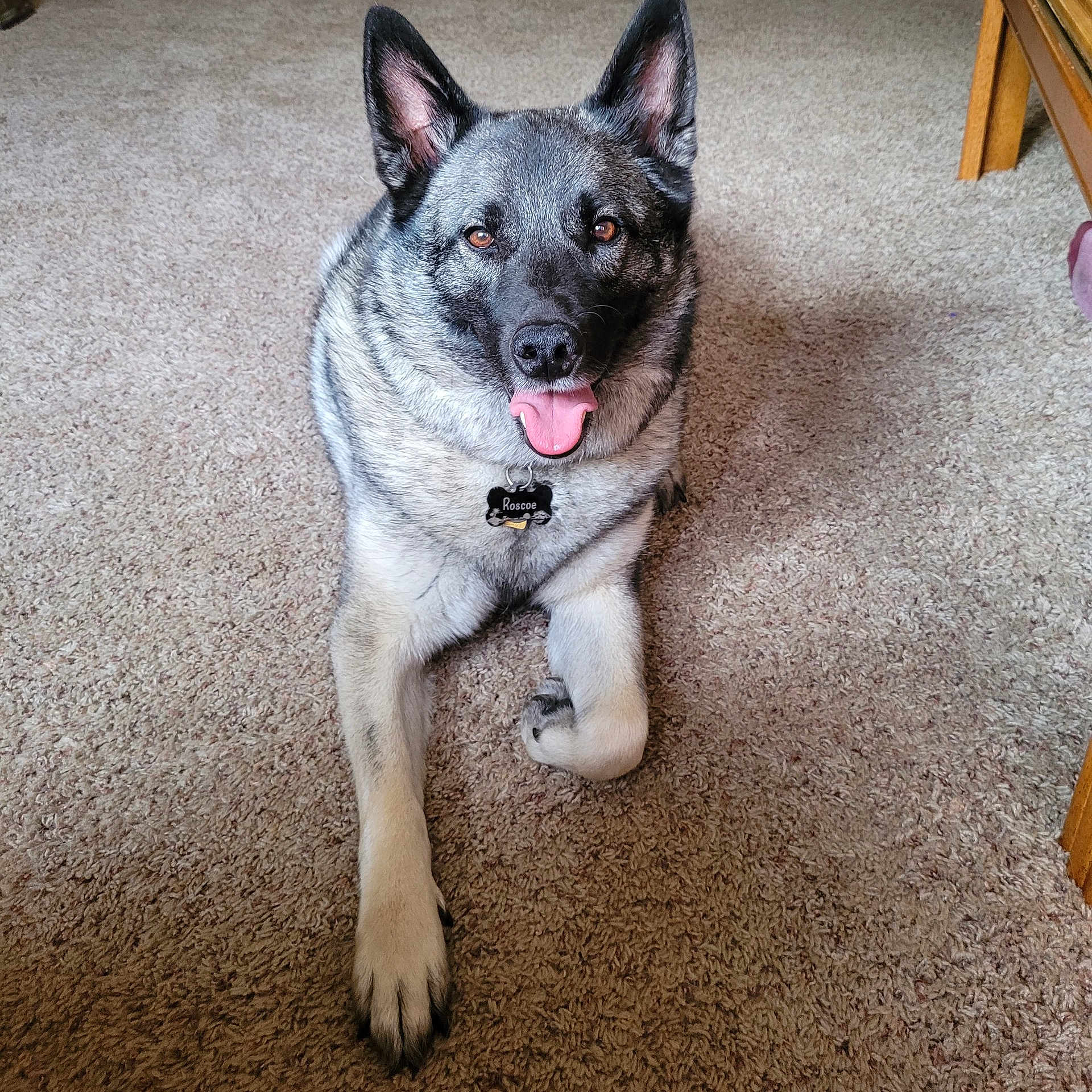 Roscoe