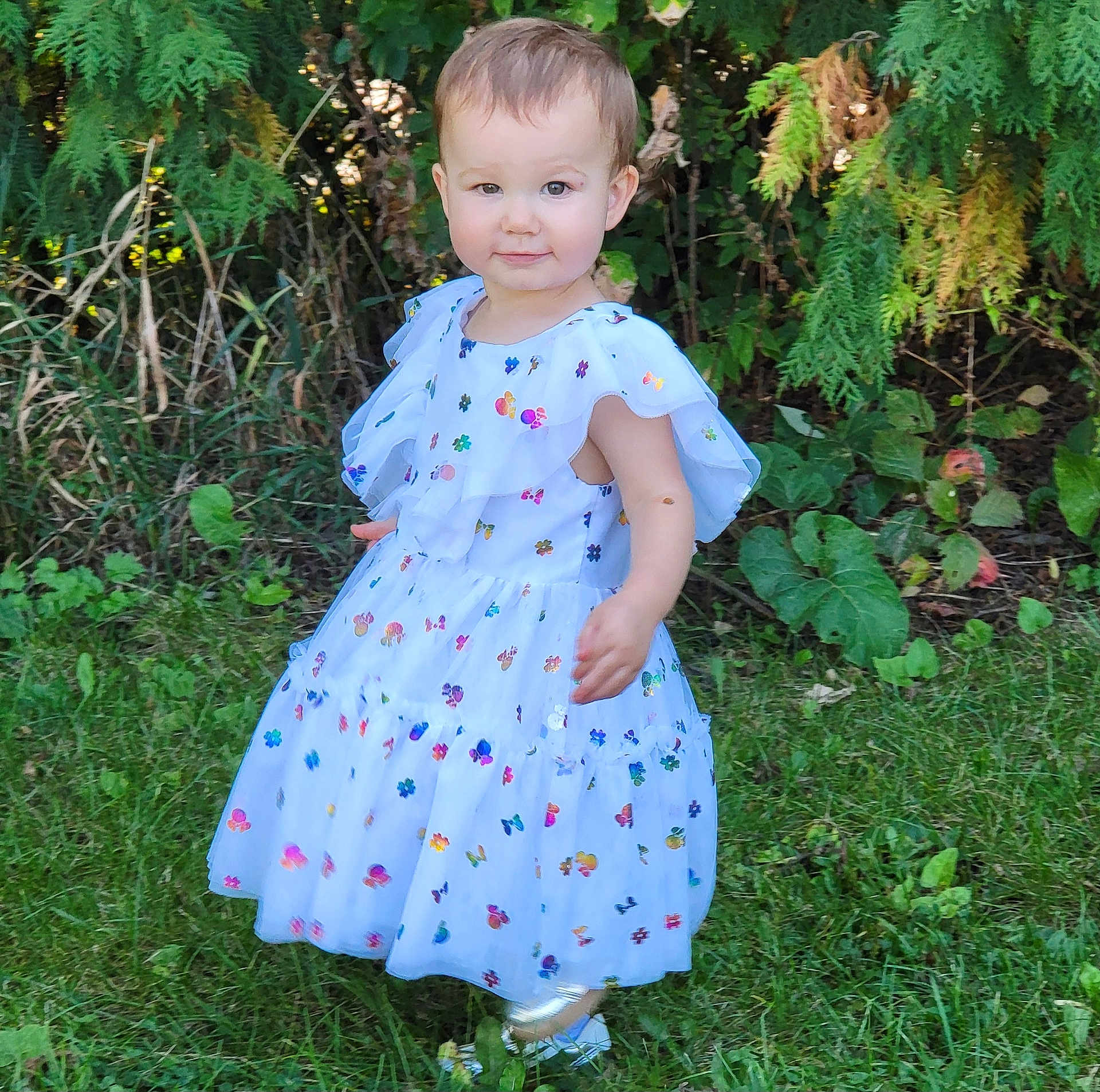 Lilly joined the competition — help win amazing prizes! toddler, child, girl, dress, white_dress, butterfly_pattern, grass, greenery, outdoor, nature, smile, portrait, young_child, happy, innocent, standing, sunlight, foliage, shoes, casual