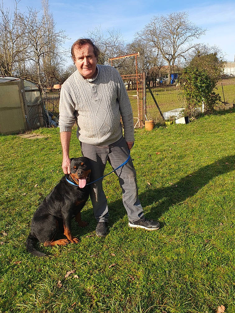 Tayzon participe au concours pour gagner de l'argent avec cette photo : beard, canidae, carnivore, cloud, companion_dog, dog, dog_breed, dog_walking, fun, grass, guard_dog, leash, obedience_training, plant, sky, smile, sporting_group, tail, tree, working_dog