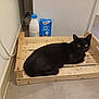 black_cat, cat, wooden_crate, milk_carton, milk_bottle, floor, tile_floor, indoor, pet, animal, feline, domestic_cat, resting, looking_at_camera, corner, household, kitchen, wall, plug_socket, cord