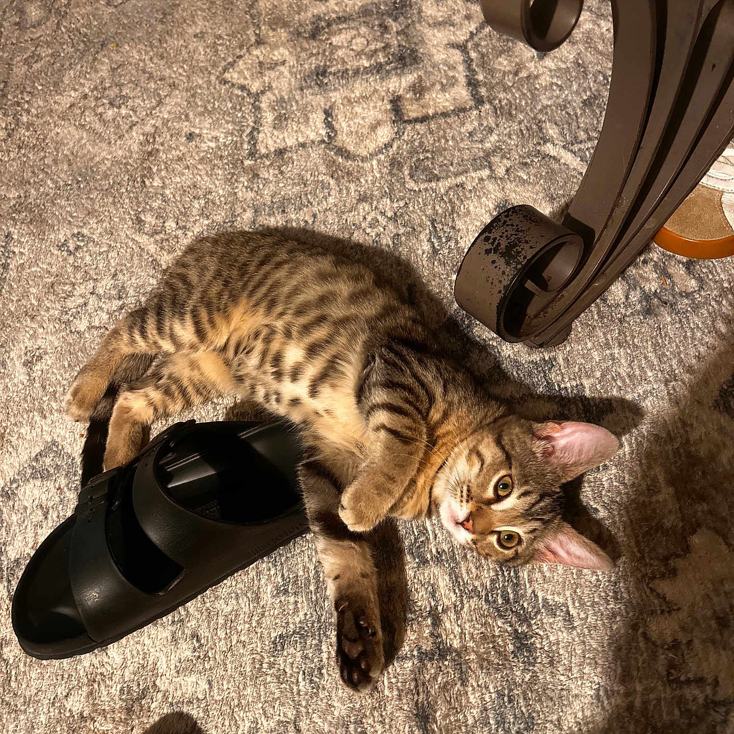 Nala