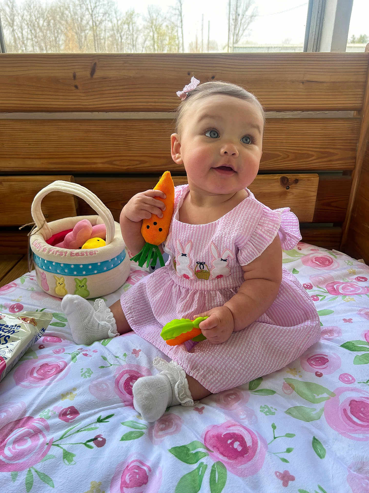 Camilla is registered to the contest to win money with this photo: baby, child, pink_dress, carrot_toy, easter_basket, floral_blanket, wooden_bench, indoor, cute, sitting, sock, toy, plush, face, happy, girl, portrait, playful, easter, decor